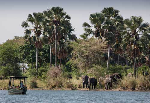 Liwonde - Mvuu Camp